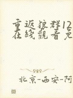 重返狼群12集在线观看免费版高清