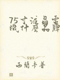 75寸液晶电视机什么品牌质量好