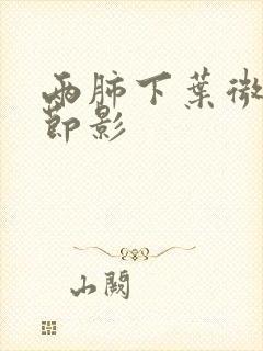 两肺下叶微小结节影