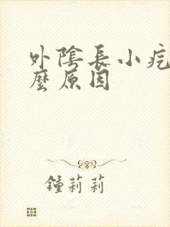 外阴长小疙瘩什么原因