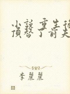 小说 重生后我顶替了前夫白月光