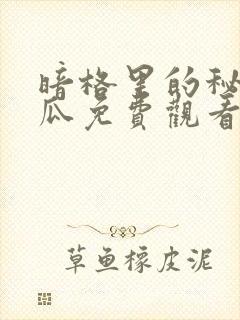 暗格里的秘密西瓜免费观看