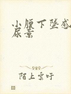 小腹下坠感总有尿意