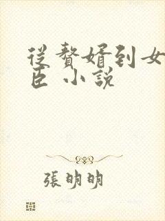 从赘婿到女帝宠臣 小说