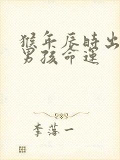 猴年辰时出生的男孩命运