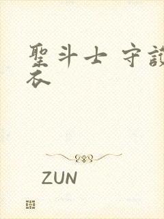 圣斗士 守护圣衣