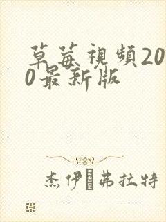 草莓视频2020最新版