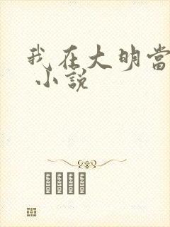 我在大明当暴君 小说