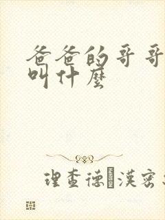 爸爸的哥哥应该叫什么