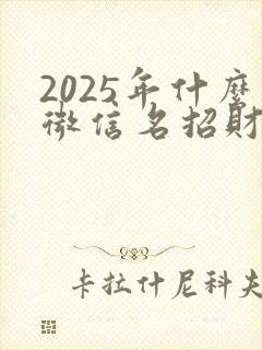 2025年什么微信名招财运气好