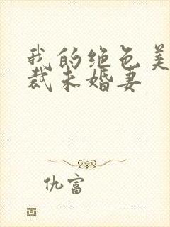 我的绝色美女总裁未婚妻