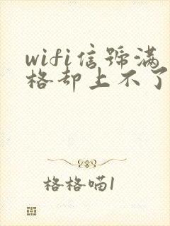 wifi信号满格却上不了网