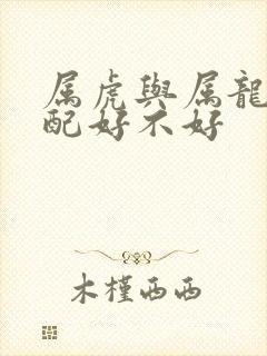 属虎与属龙的婚配好不好封面