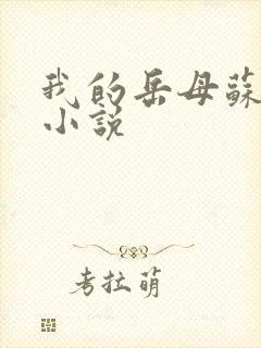 我的岳母苏沛珍小说