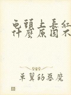 龟头上长红斑是什么原因不痛不痒封面