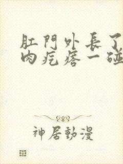 肛门外长了一个肉疙瘩一碰就疼