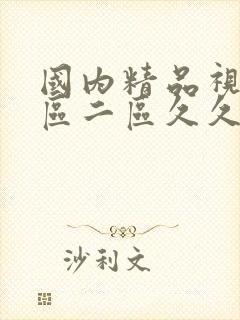 国内精品视频一区二区久久久