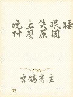 晚上失眠睡不着什么原因