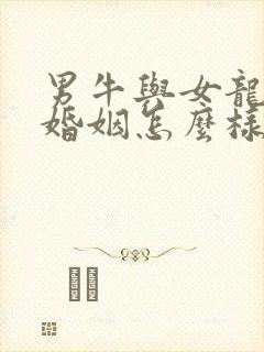 男牛与女龙相配婚姻怎么样