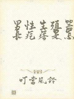 男性生殖器根部长疙瘩是怎么回事封面