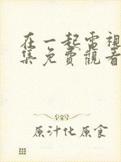 在一起电视剧全集免费观看