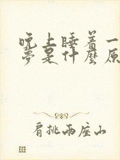 晚上睡着一直做梦是什么原因封面