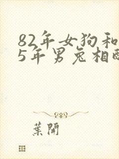 82年女狗和75年男兔相配婚姻如何