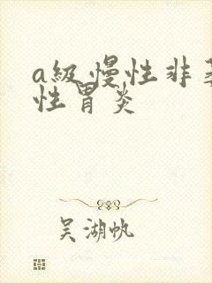 a级慢性非萎缩性胃炎