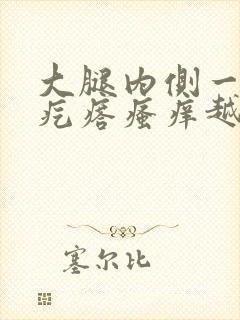 大腿内侧一片红疙瘩瘙痒越抓越痒