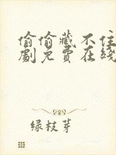 偷偷藏不住电视剧免费在线观看全集