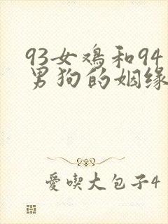 93女鸡和94男狗的姻缘