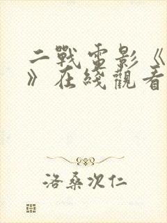 二战电影《浴血》在线观看封面