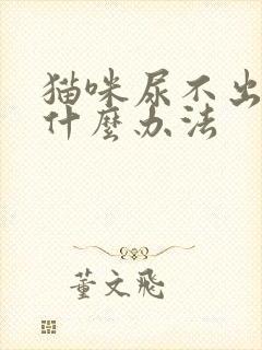 猫咪尿不出来有什么办法