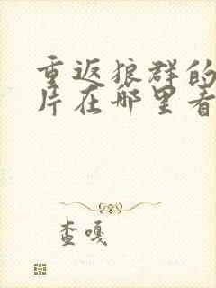 重返狼群的纪录片在哪里看封面