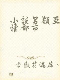 小说另类亚洲激情都市