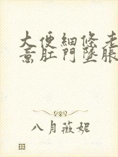 大便细条老有便意肛门坠胀