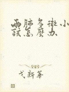 两肺多微小结节该怎么办