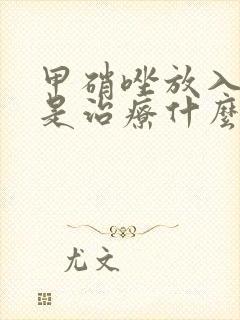 甲硝唑放入阴道是治疗什么