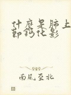 什么是肺上叶结节钙化影