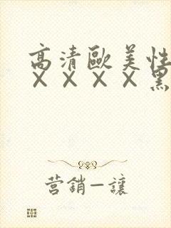 高清欧美性猛交××××黑人猛交