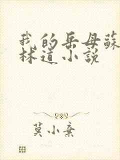 我的岳母苏沛真林道小说
