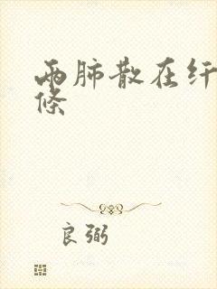 两肺散在纤维索条