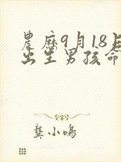 农历9月18日出生男孩命运