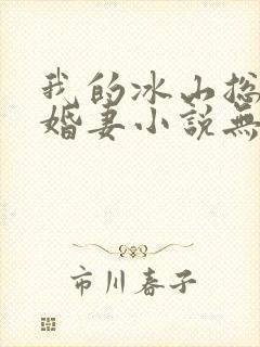 我的冰山总裁未婚妻小说无弹窗