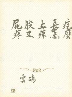 屁股上长疙瘩又疼又痒怎么回事封面