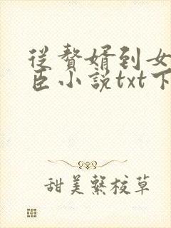 从赘婿到女帝宠臣小说txt下载