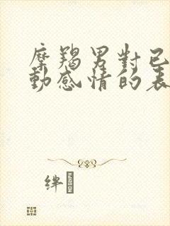 摩羯男对已婚女动感情的表现