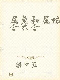 属兔和属蛇婚姻合不合