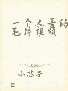 一个人看的国产毛片视频