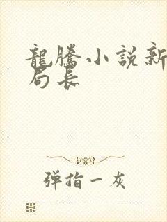 龙腾小说新三宝局长